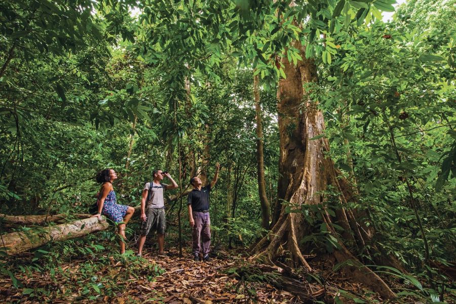 Thrilling jungle trekking at Lang Tengah Island