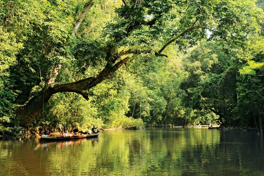 Natural beauty of Taman Negara National Park