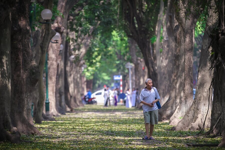 The streets becomes most romantic in autumn. Photo: VOV