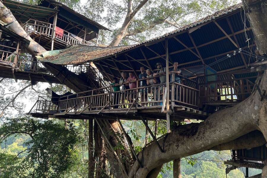 Bokeo Nature Reserve offers you experience of living in a treehouse. Photo: Earth's Corner