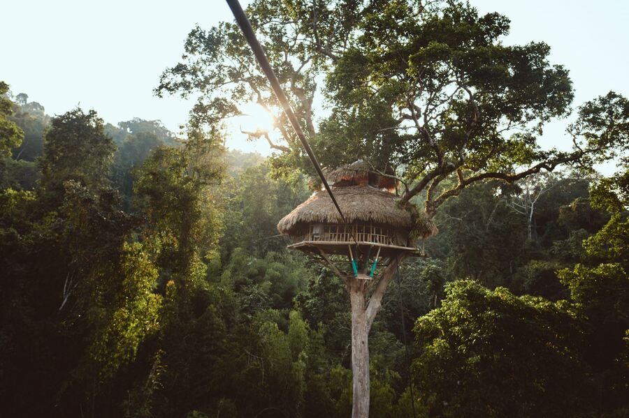 This is the highest treehouse in the world. Photo: Earth's Corner