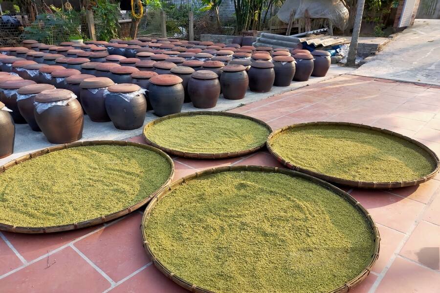 Soybeans are sun-dried and then fermented in ceramic jars. Photo: Dan Viet