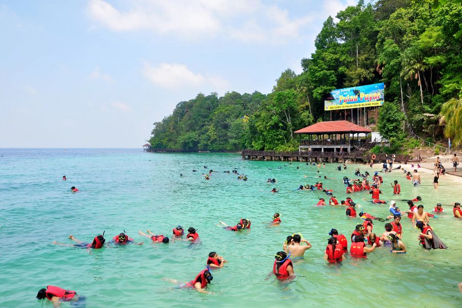 Bustling swimming crowd 