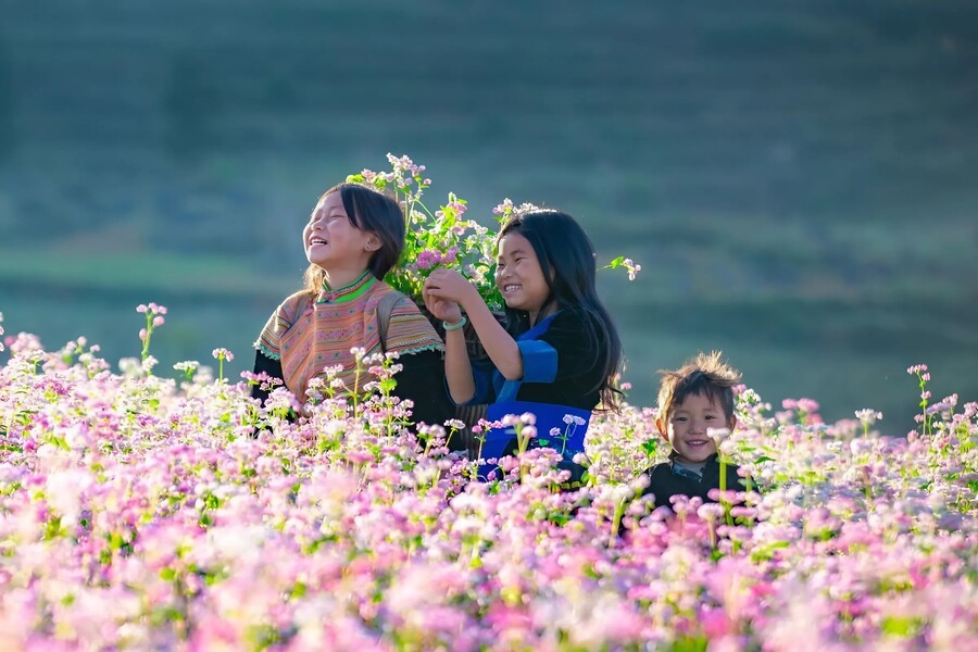 Everything turn pink in buckwheat flower season. Photo: Vietnam.vn