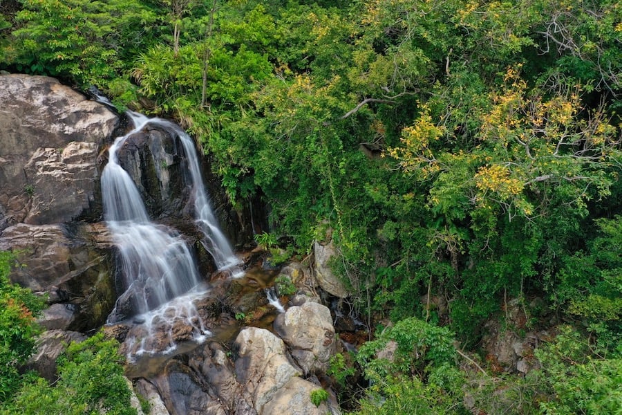 The pristine charm of the primeval forest and mountains (Source: VinWonders)