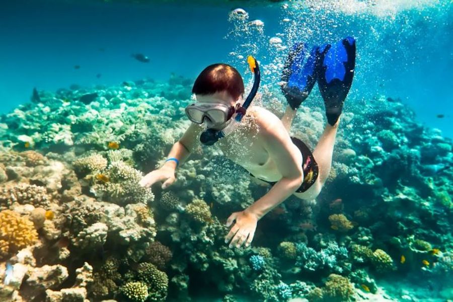 Snorkeling to explore the world under the sea (Source: Meditours)