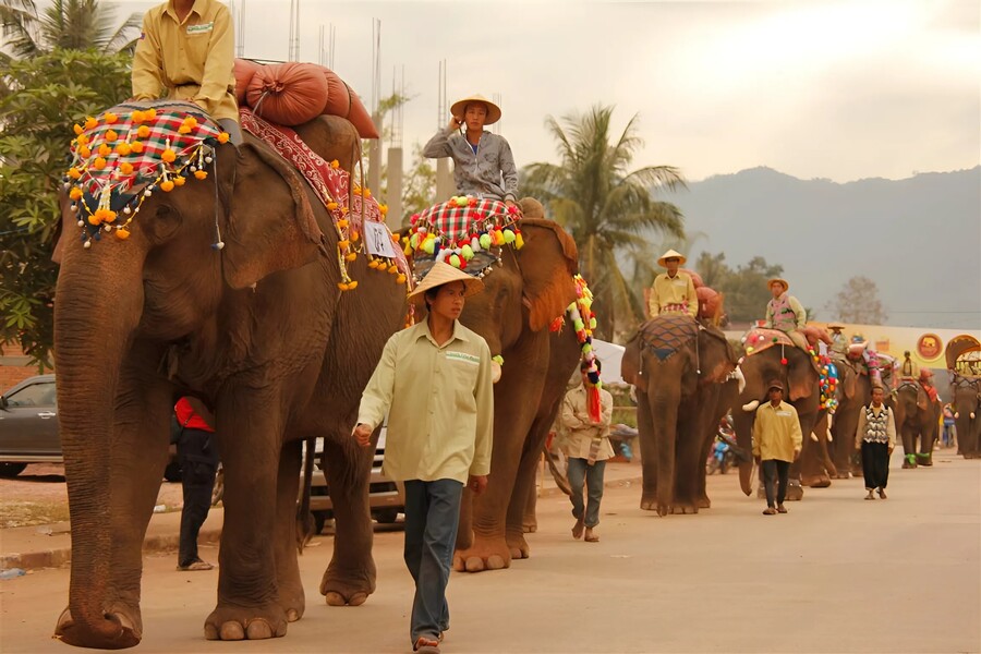 Elephants assist Lao people in their daily work. Photo: Explore Laos