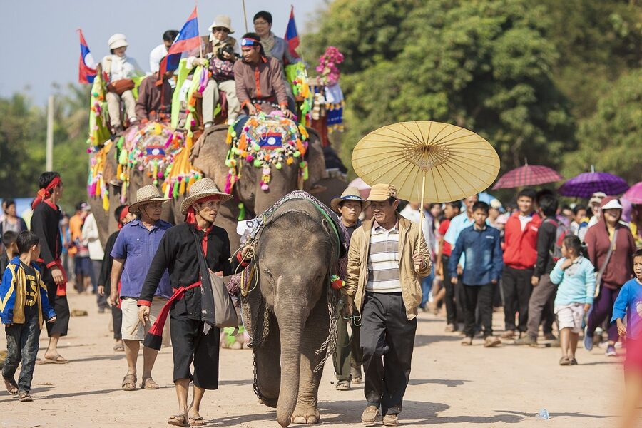 The pleasant weather at the beginning of the year will allow the elephants to be more active. Photo: Phoonsab Thevongsa