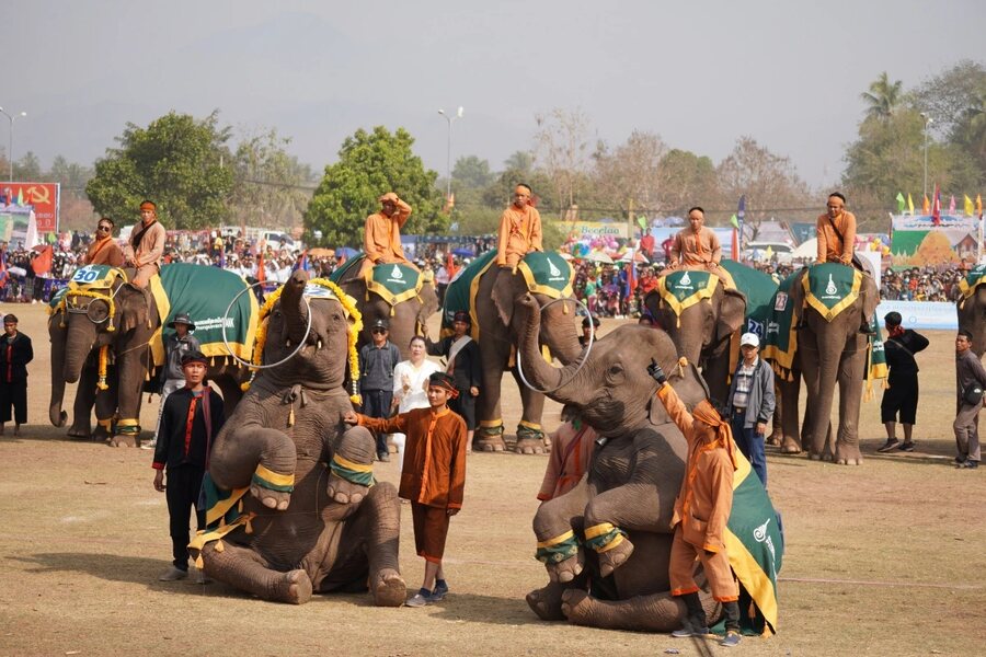 Elephants can perform many entertaining acts under the guidance of mahouts. Photo: VOV