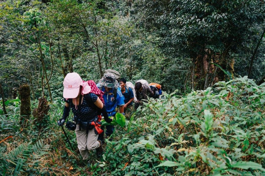 Conquer the mountain by trekking