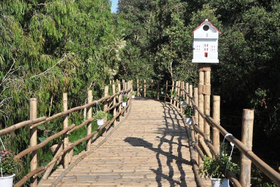 Bamboo Bridge in Tra Su