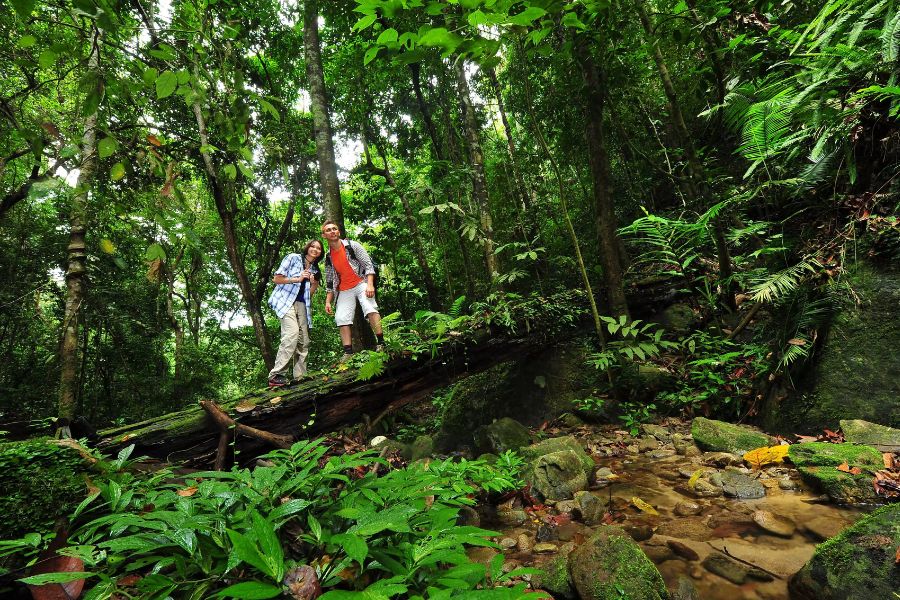 Exploring Royal Belum State Park 