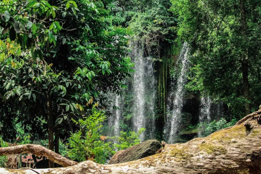 Nature in Cambodia