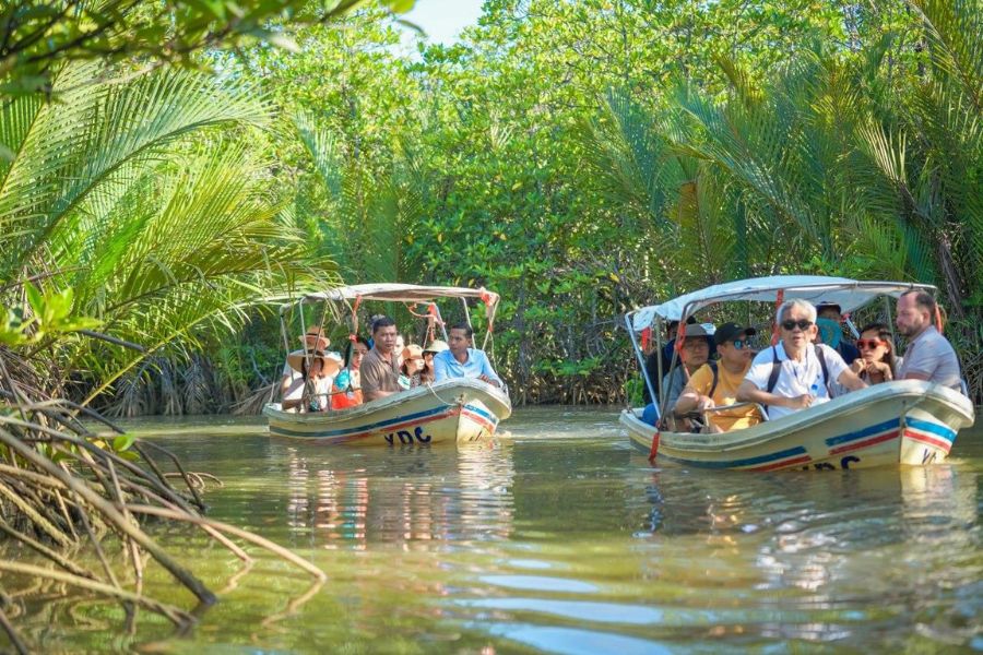 Jungle tour in Ream National Park