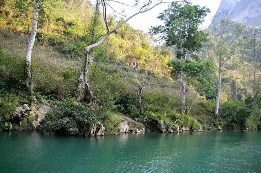 The surrounding forest trees make the scenery even more poetic @discoverhagiang