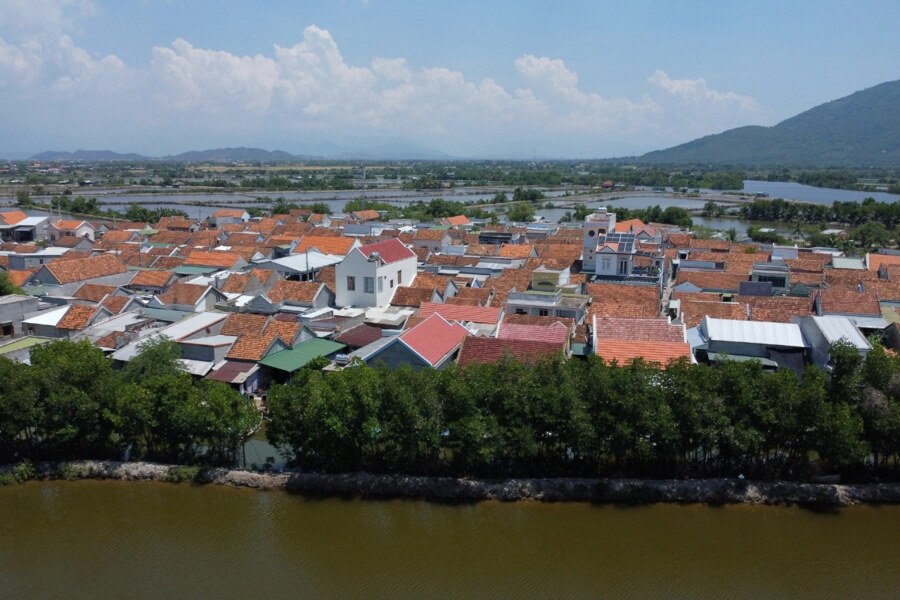 The mangrove forest planted on the eastern side helps to protect the village from storms. Photo: Dan tri