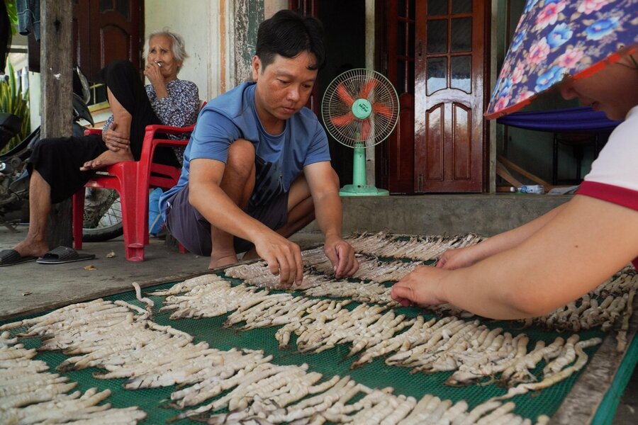 People are settling seafood to dry under the sun. Photo: VnExpress