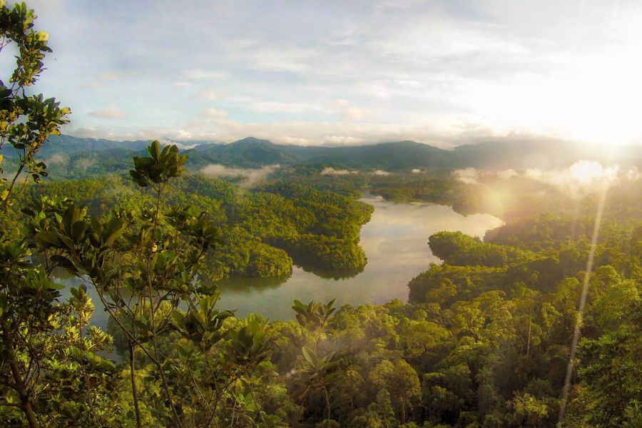 Taman Negara National Park 