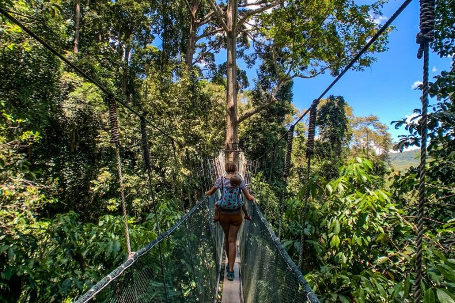 Mountains escape at Kinabalu Park