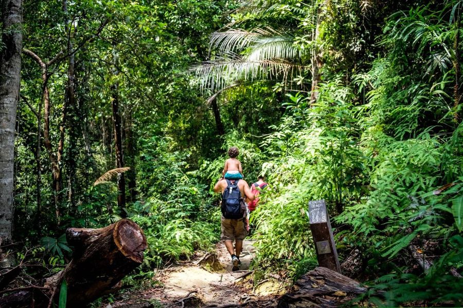 Tourist experiencing Malaysia rainforest safari