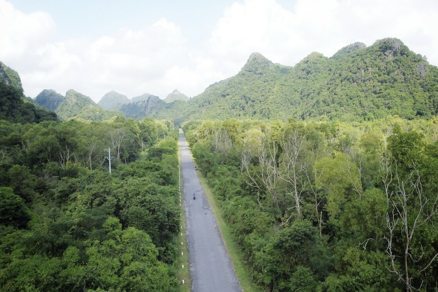 The road running through the forest on Cat Ba Island is considered the most beautiful coastal road in the North (Source: Internet)