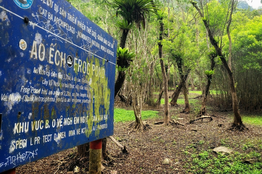 The Frog Pond is covered in green moss, creating a fairy tale scene (Source: VnExpress)