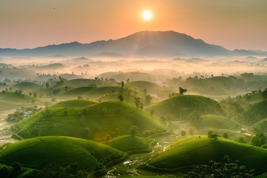 Sunset views of the tea hill