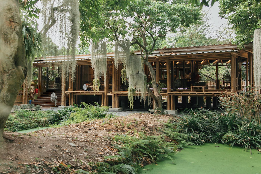 This cafe offers a fresh space in harmony with nature (Source: Internet)