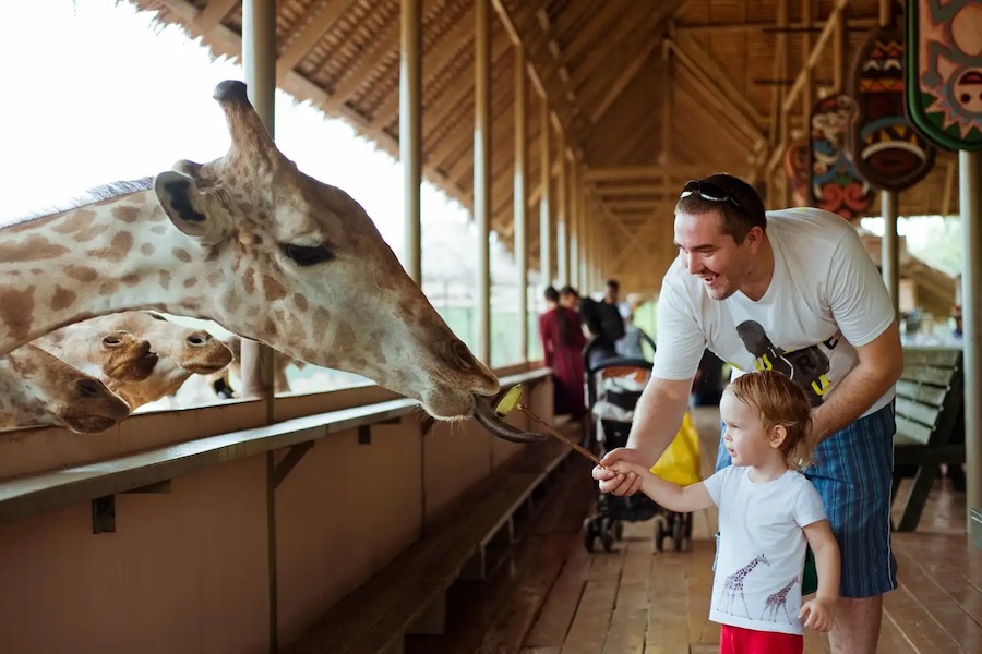 You can observe and interact directly with wild animals here (Source: Traveloka)