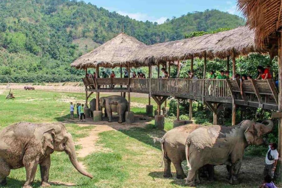 Elephant Nature Park