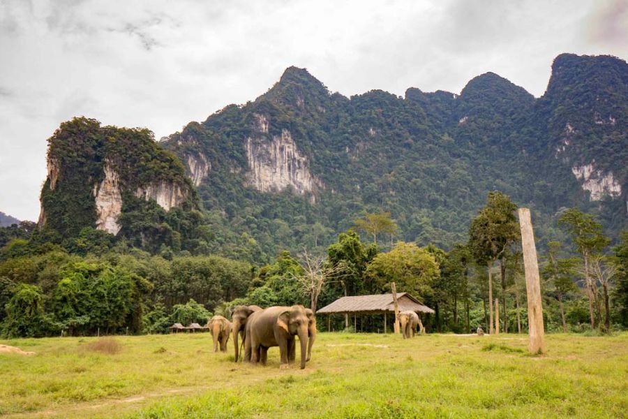 A view of Elephant Hills