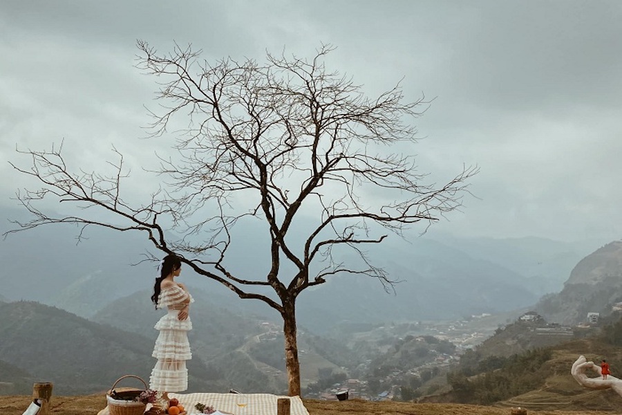 The Lonely Tree stands tall in the middle of mountains and sky, evoking an indescribable sense of romance (Source: Internet)