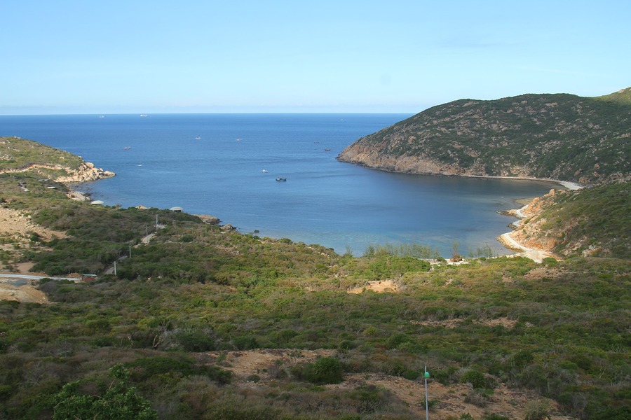 Semi-desert forest by the seaside. Photo: VNP