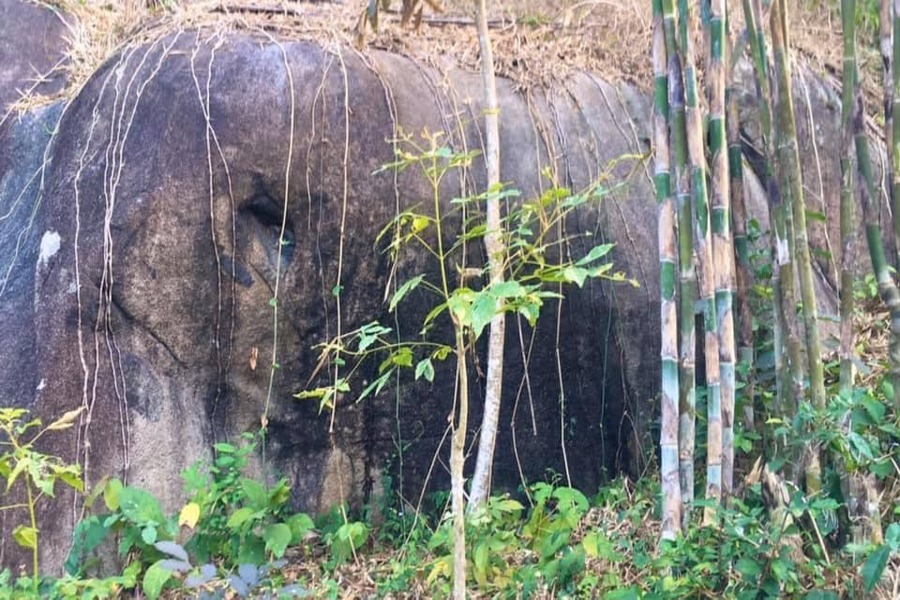 The rock looks very much like an elephant. Photo: Lang Thang An Giang