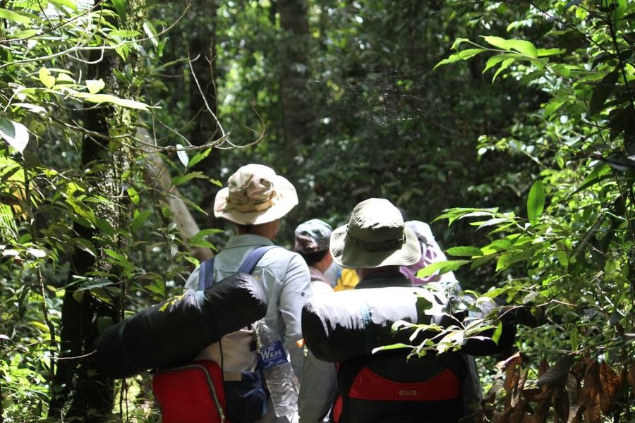 Trekking through the forest