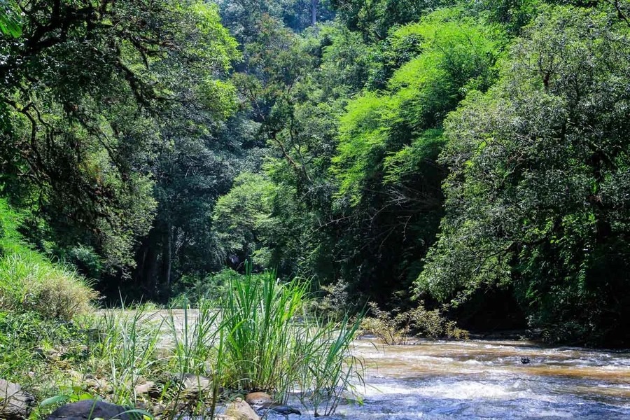 The pristine beauty of Bu Gia Map National Park