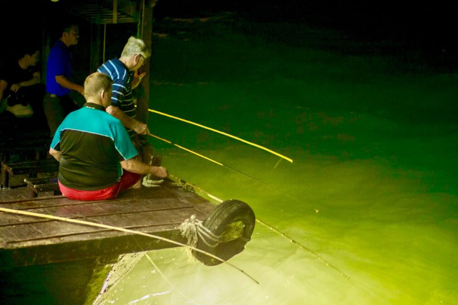 Experience night squid fishing on Ha Long Bay Cruise