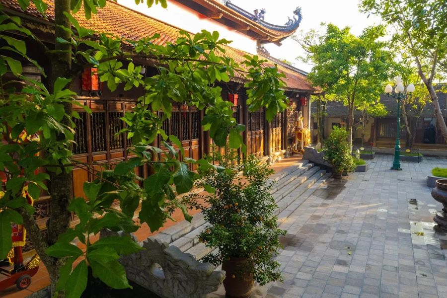 Capture memorable photographs