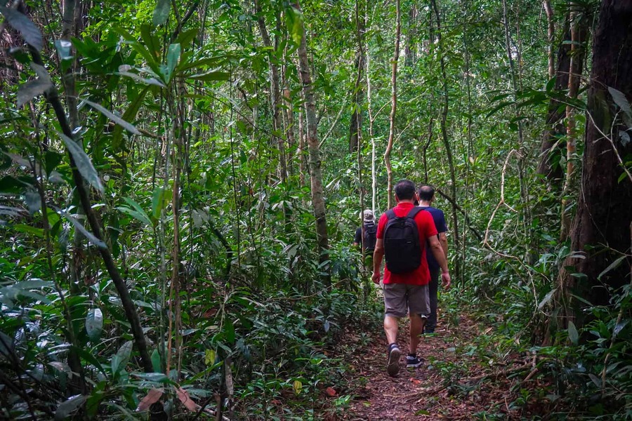 The ideal time for trekking is when the weather dry
