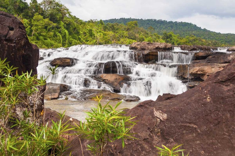 Cardamom Mountains&nbsp;are one of Cambodia’s most significant natural treasures