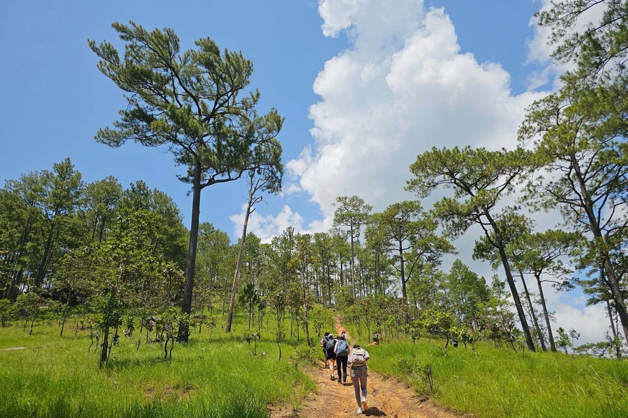 The cool air makes your trek a bit more comfortable