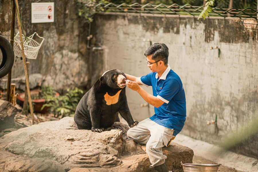 A Saigon Zoo and Botanical Gardens zookeeper feeding a bear cub