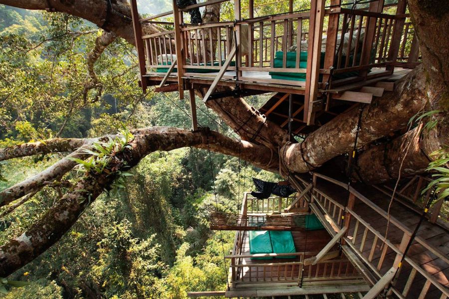 Bokeo Gibbon Experience in Laos