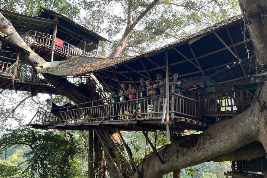 Take on an adventure with Bokeo Gibbon Experience