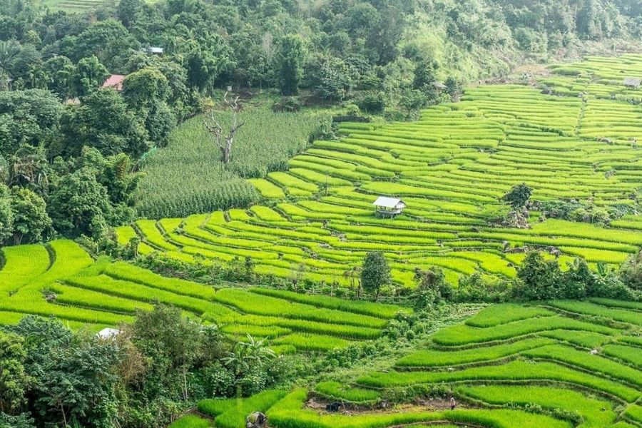 Thailand is a perfect destination for trekking