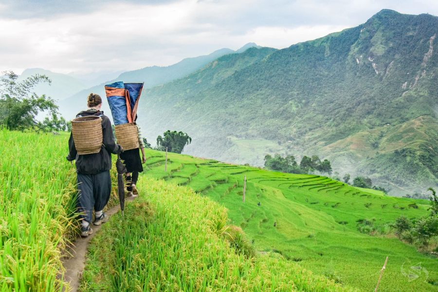 Potential of trekking in Northern Vietnam