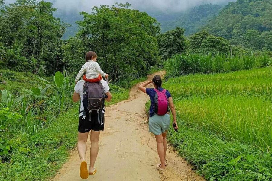 Trekking in Pu Luong Nature Reserve&nbsp;
