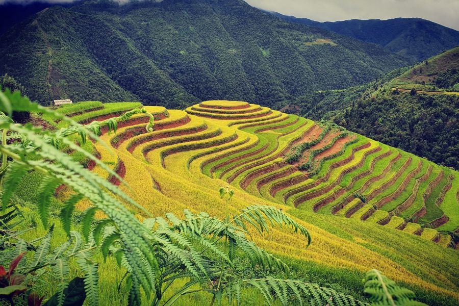 UNESCO recognized “Mam Xoi Hill”&nbsp;