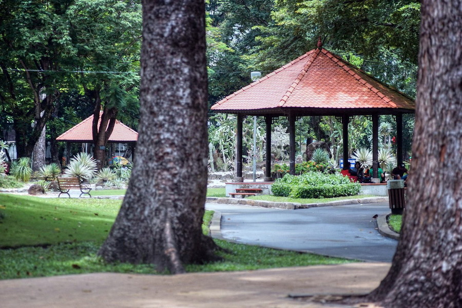 A peaceful escape in the heart of the bustling city