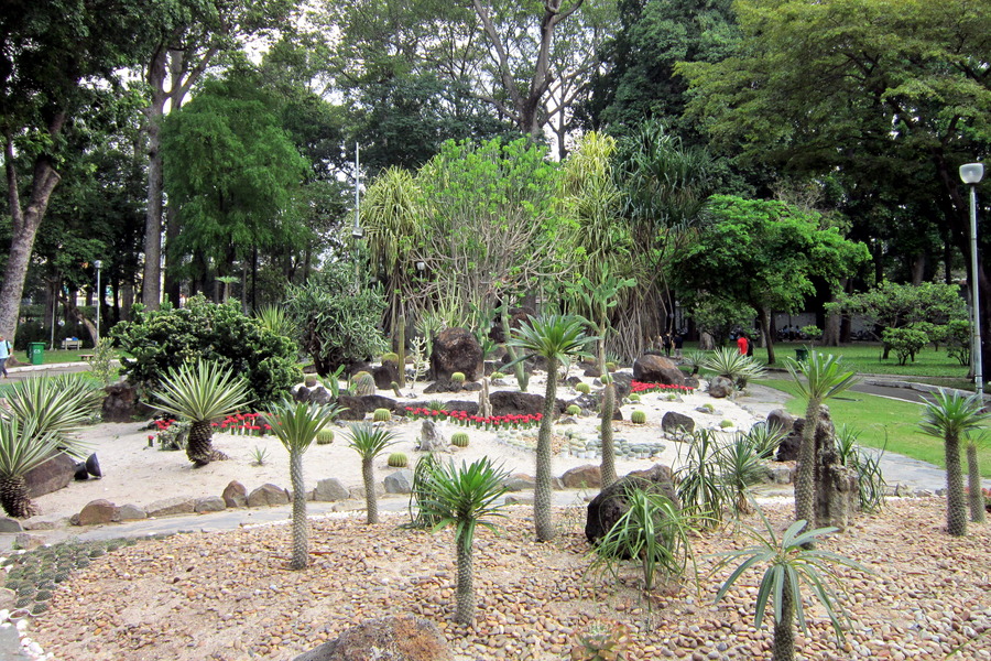 A cactus garden with many rare species